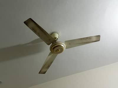 ceeling fan for sale like a new good condition