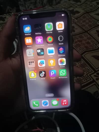 Apple iPhone X