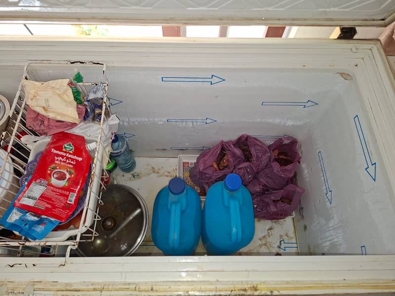 Deep Freezer Waves 4