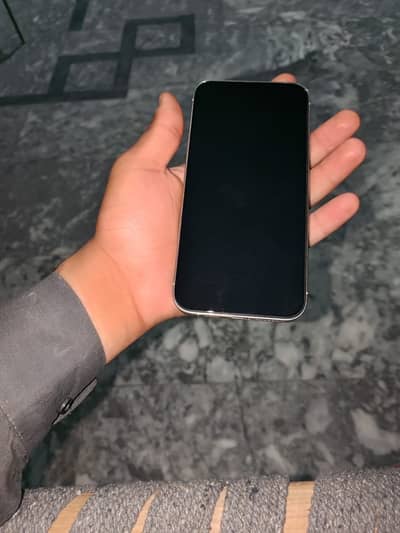 Apple iPhone 12 Pro Max