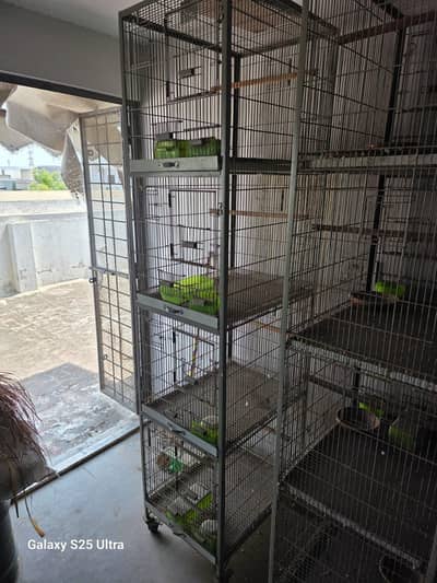 4 porshen and 3 porshen cage for hens and birds