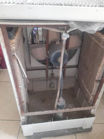 Air cooler