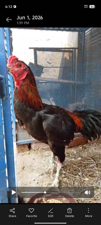 walati