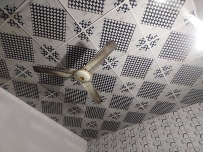 fan for sale