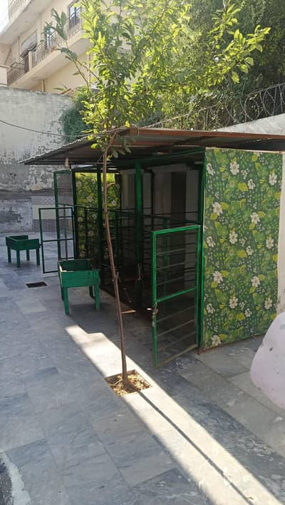 Cage, Pinjra setup goats, dogs, birds etc