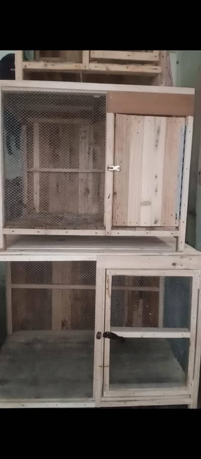 3 cages and 2 hen for sale