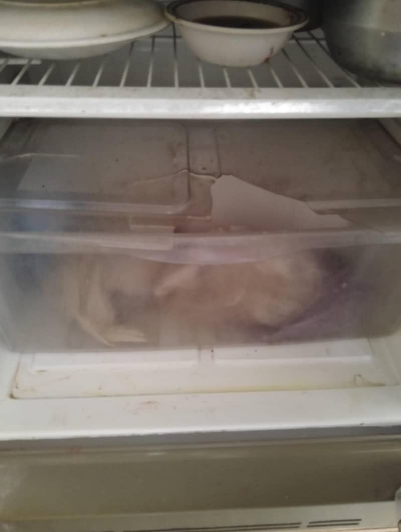 PELL REFRIGERATOR 5