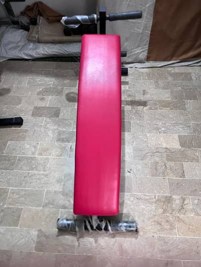 Tummy Trimmer Bench