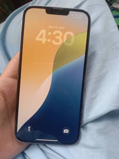 Apple iPhone 13 Pro Max