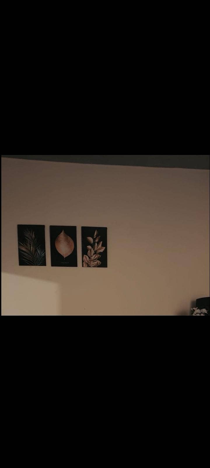 Decorative Picture Frames 1