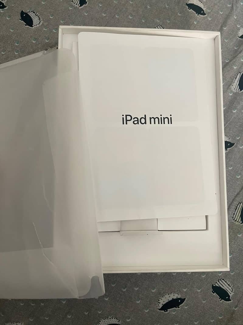 iPad mini 7 9