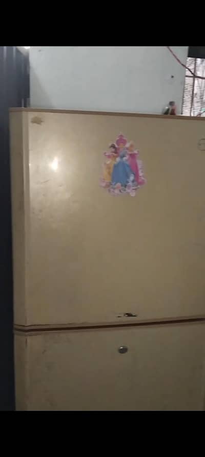 PEL Freezer