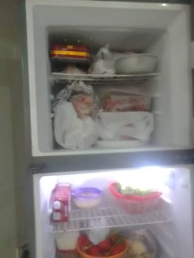 Hair refrigerators