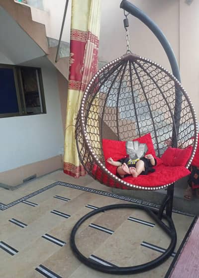 Egg Hanging Swing
