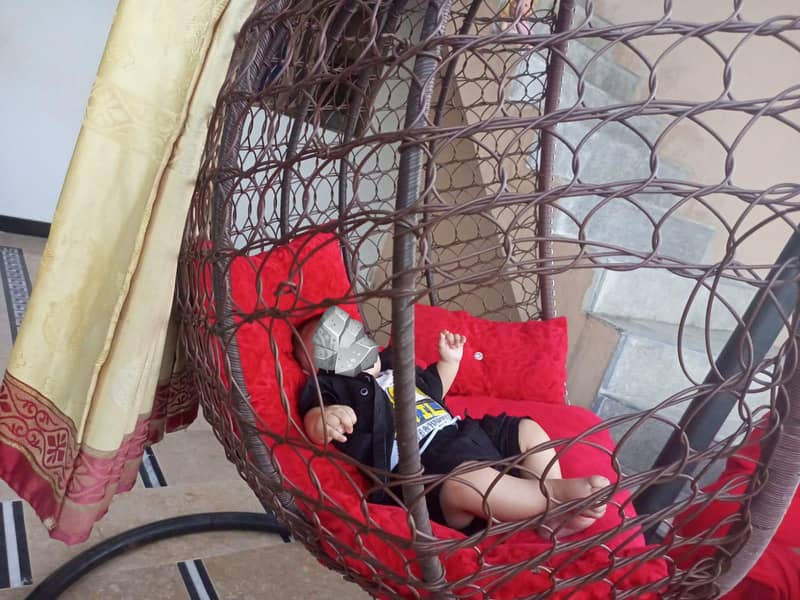 Egg Hanging Swing 1