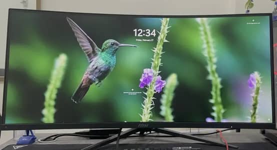 MSI MAG342CQR Curved Gaming Monitor