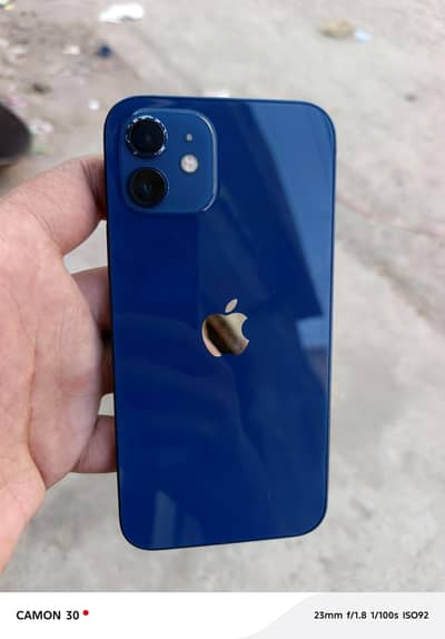 Apple iPhone 12