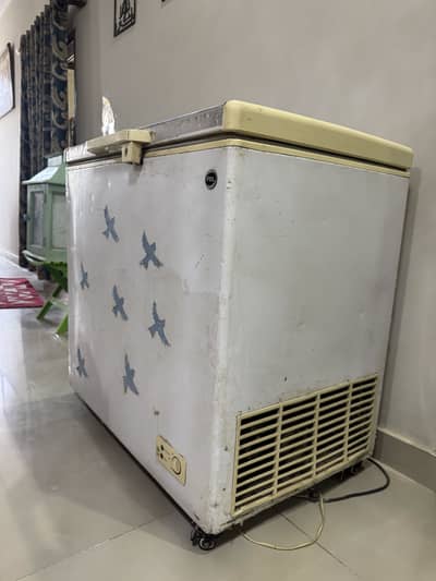 Pel Deep Freezer Single Door for Sale