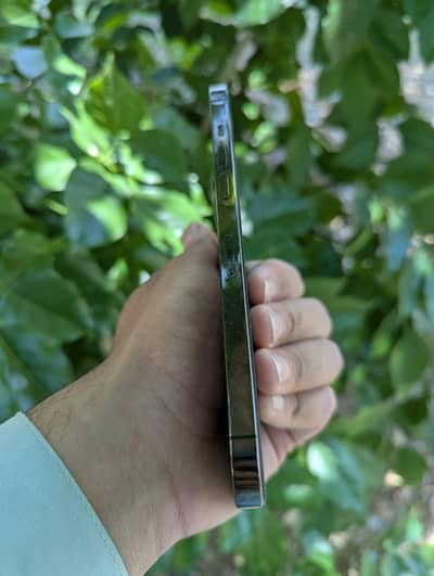 Apple iPhone 12 Pro Max