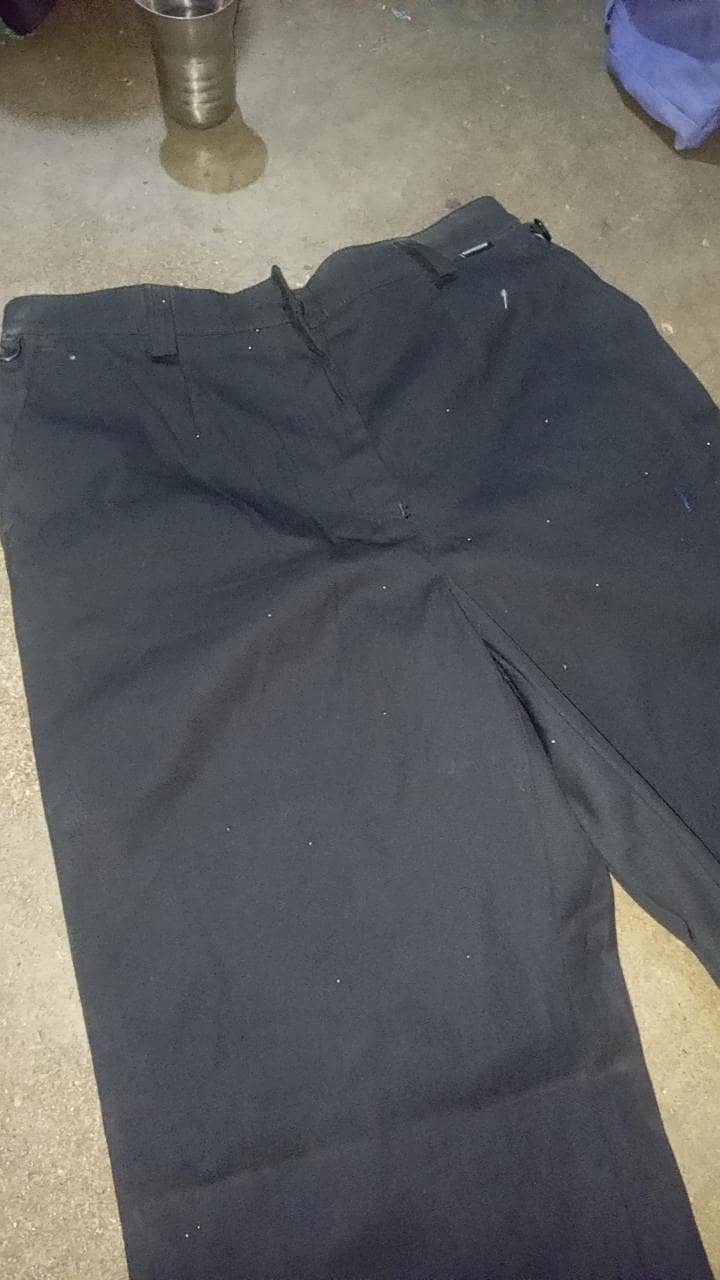 cargo paint 1