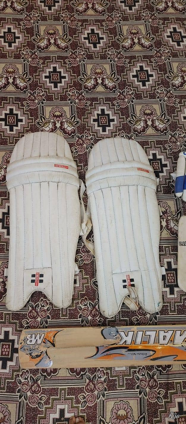 cricket kit 2