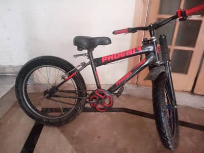 Phonix new addition bicycle with Aloy wheels