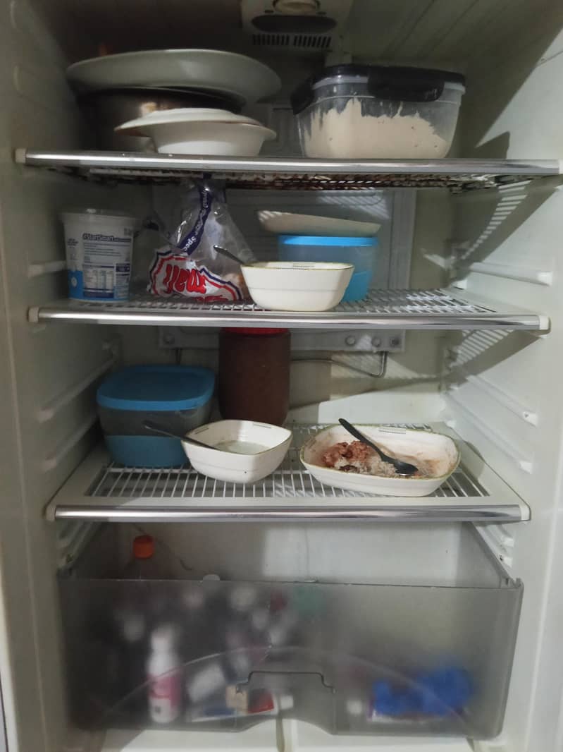 fridge 1