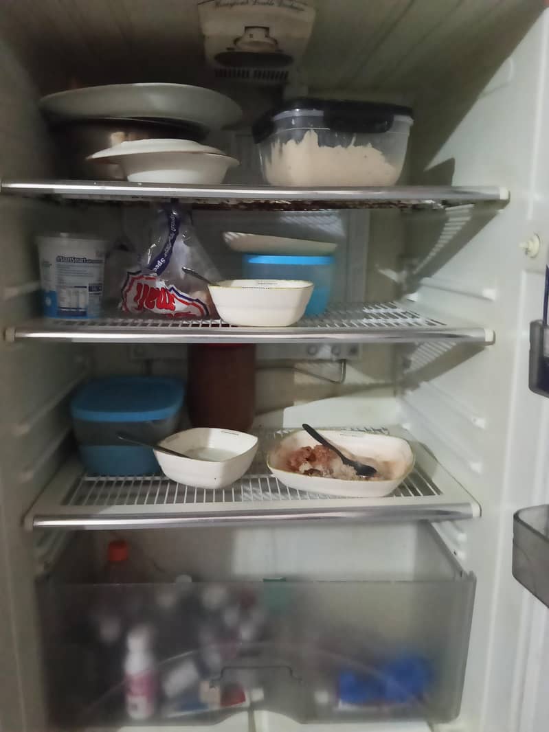 fridge 2
