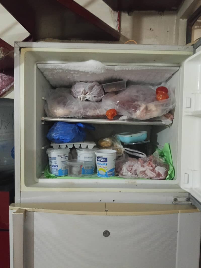 fridge 5