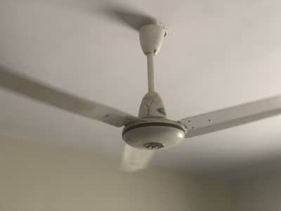 Pakfan