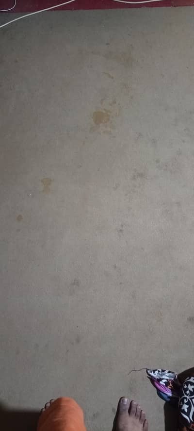 used carpets
