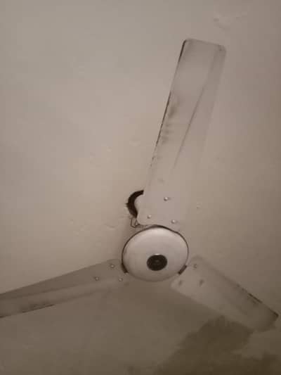 G F. C original fan pure cooper no repair