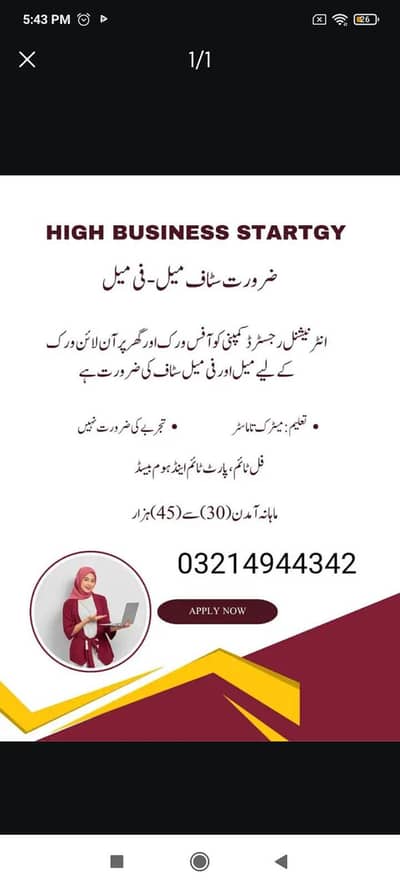 online Work for the students and men and women