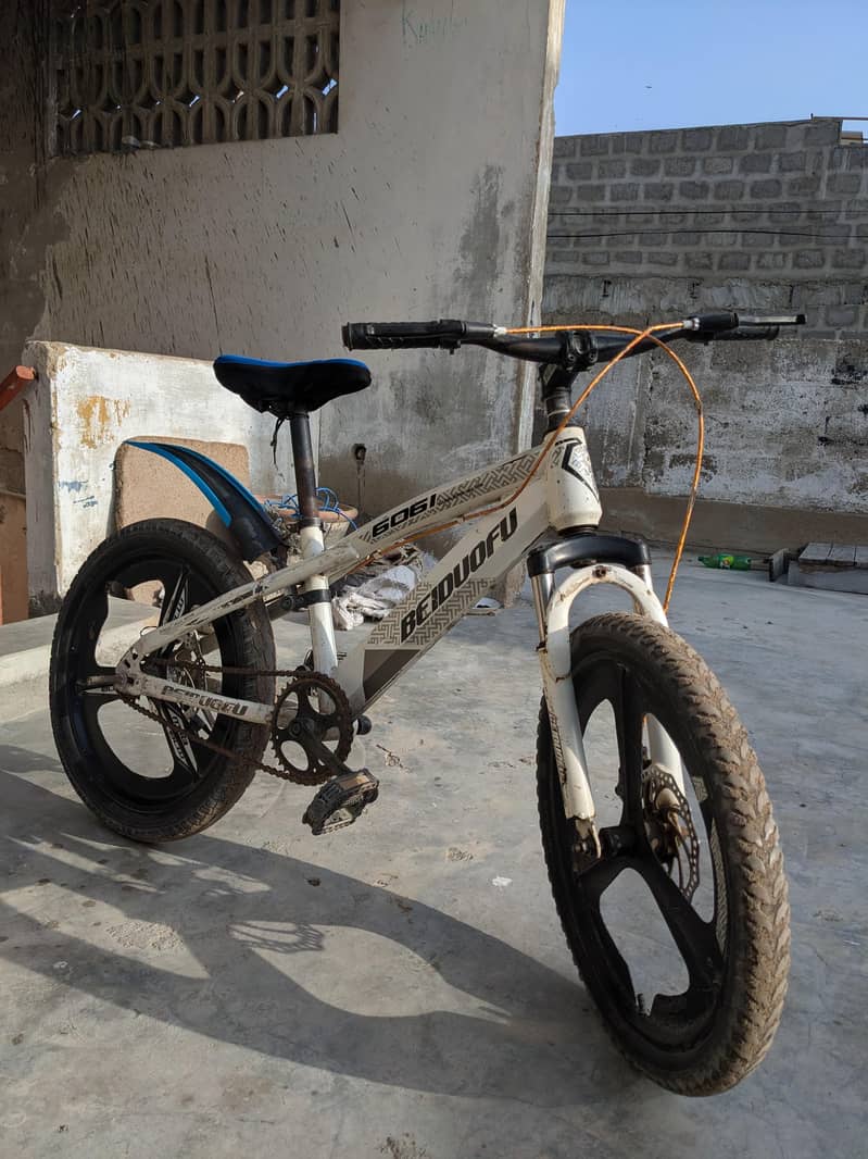 mountain cycle 1