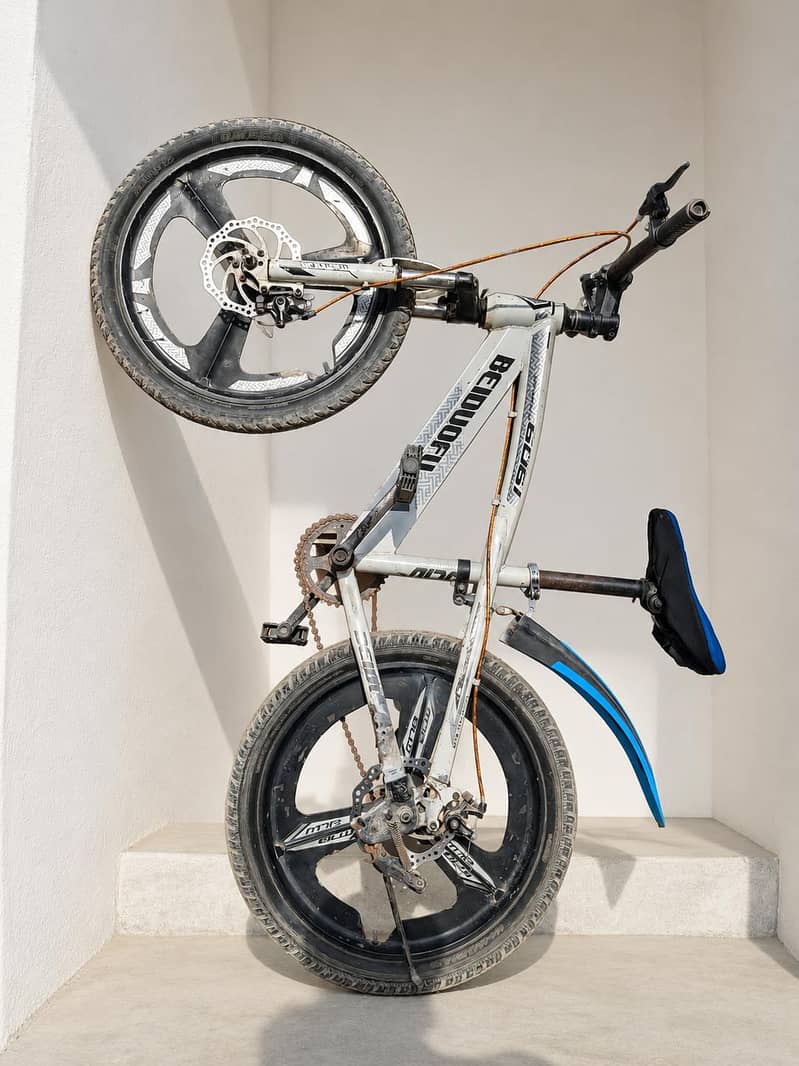 mountain cycle 2
