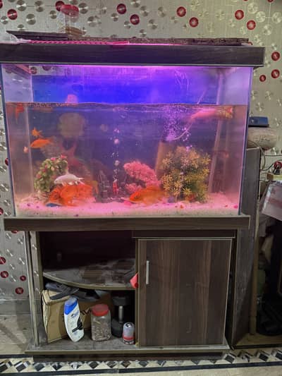 Fish Aquarium with fish and water pump lights and heater etc