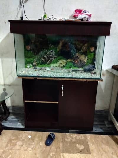 Fish Aquarium with table for sale