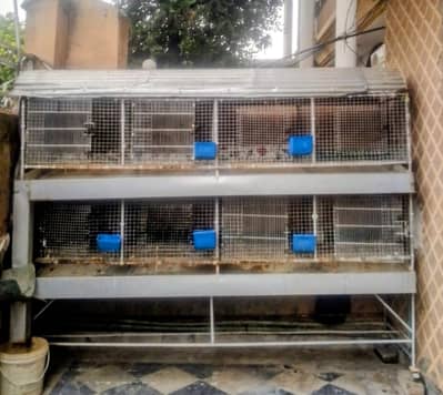 Cages for Sale