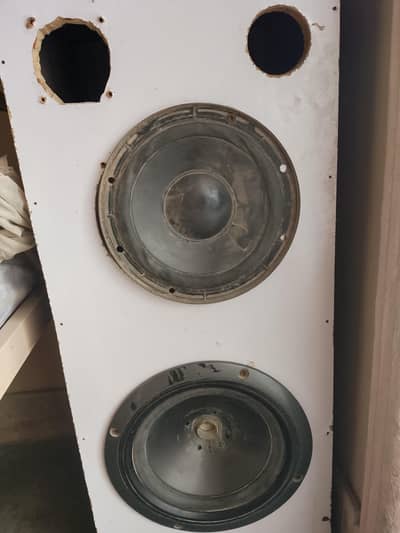 Pioneer Taiwan Speaker 8 inch