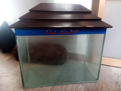 Fish aquarium