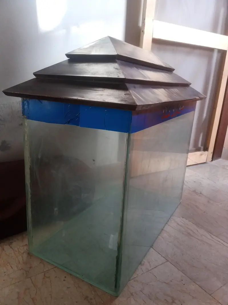 Fish aquarium — photo 2
