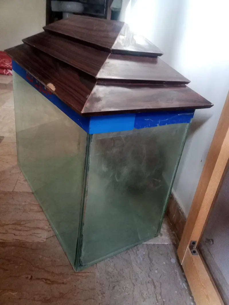 Fish aquarium — photo 3