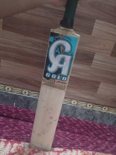 Hard ball cricket bat