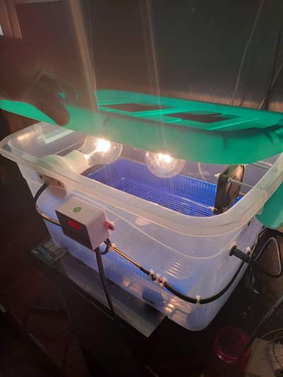 35 to 40 egg incubator 100% result garrentee 03024329933