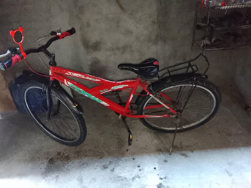 Bicycle 0