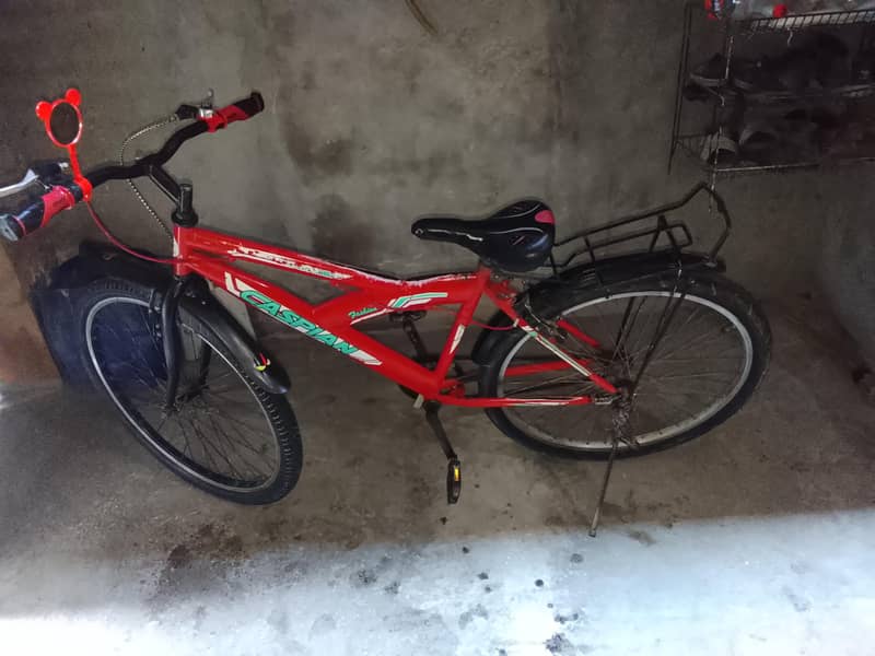 Bicycle 1