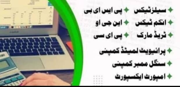 Income tax and sales tax consultancy