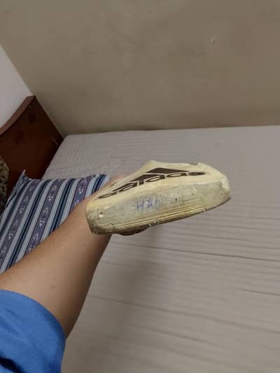 hard ball cricket bat