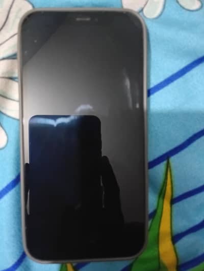iphone 12 panel orignal 100%gurenty