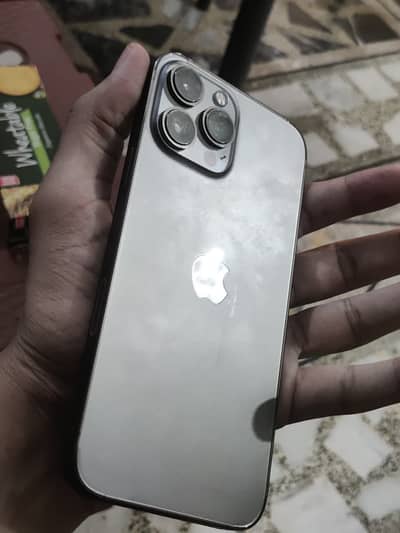Apple iPhone 13 Pro Max